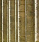 Mobi-Comm-Dies-Zahl-zeig-waru-Smartp-und-Tabl-die--8956-detailp