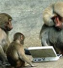 Personalisierter-Webshop-8949-detail