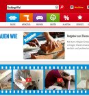 baumax-2014-ecommerce-gross1