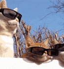 Dinge-die-jeder-Start-up-Grnder-kennt-9533-detail